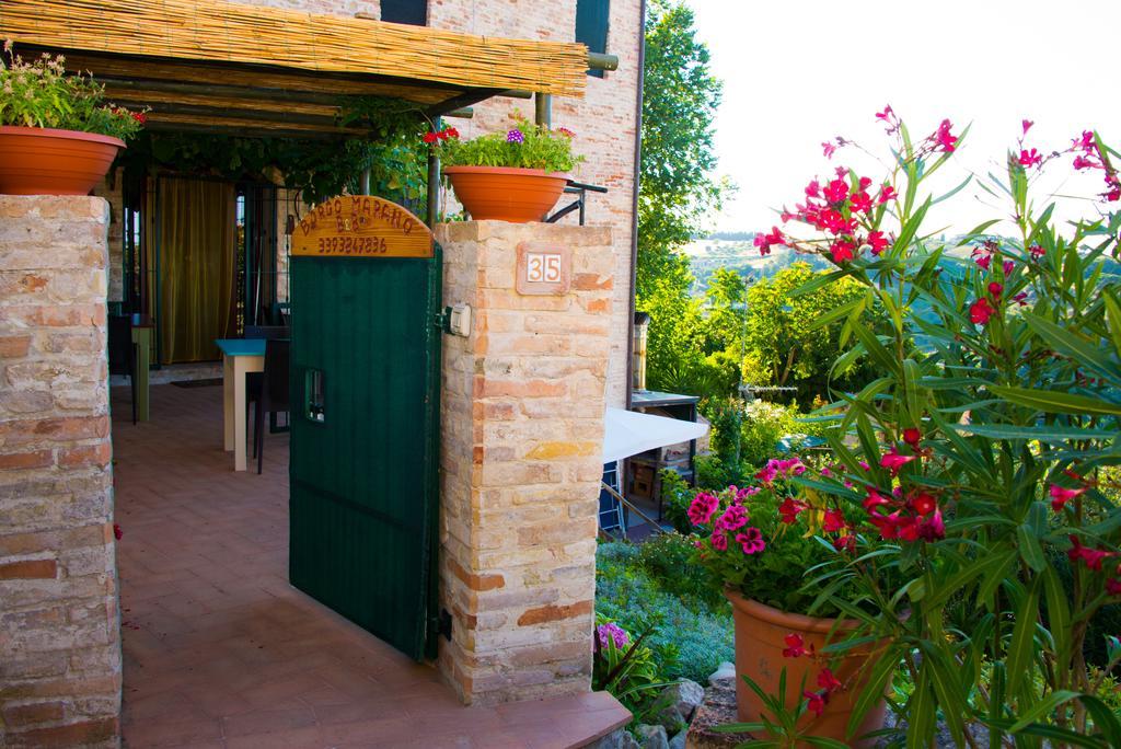 B&B Borgo Marano Cupra Marittima Exterior foto